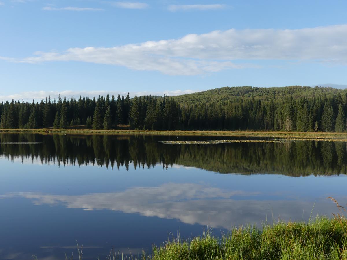 Schott'S Lake Conference & Resort Sundre Eksteriør billede